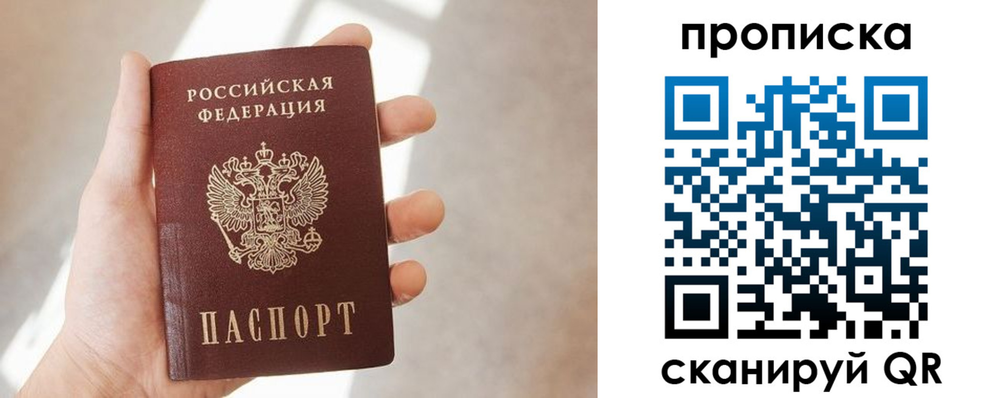 где прописаться в Ивантеевке